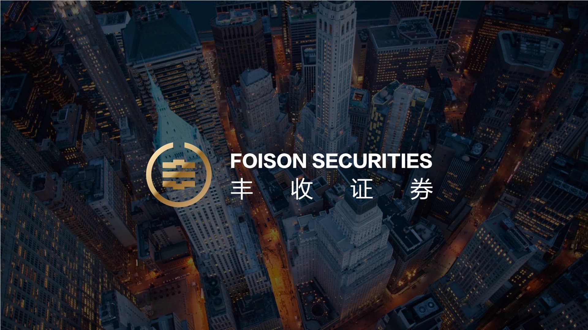 丰收证券 · 金融品牌视觉 1