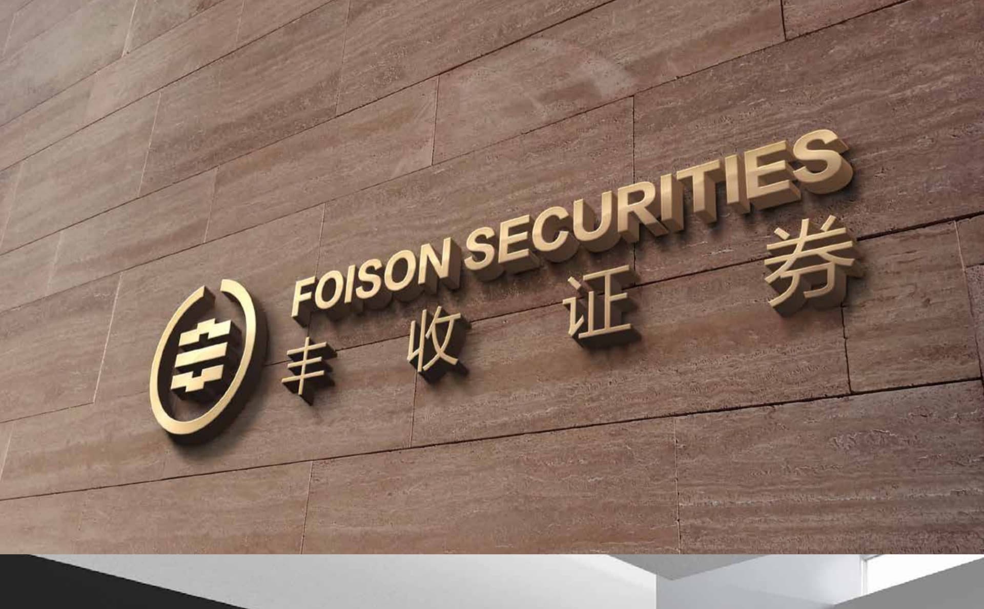 丰收证券 · 金融品牌视觉 3