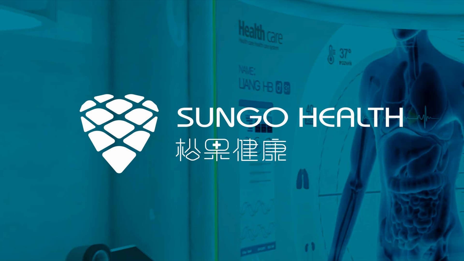 松果健康 · 品牌视觉系统 1